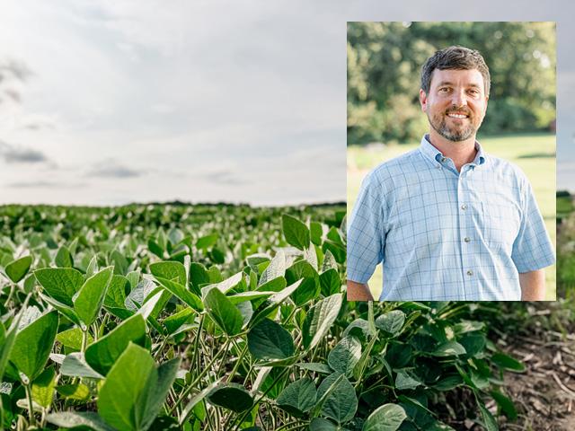 John Halcomb farms along the Kentucky-Tennessee state line, raising corn, soybeans, wheat, barley, rye and some canola. With farmers receiving another round of ad-hoc payments, Halcomb is concerned nobody is offering any "outside-the-box" policy solutions to help break the cycle. (DTN file photo of a soybean field/Photo courtesy of John Halcomb)