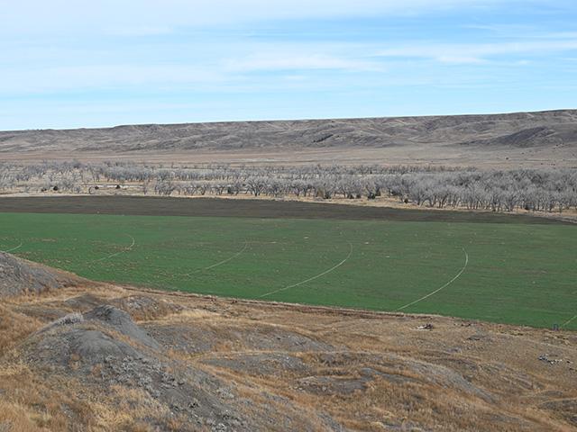 Heather and Charles Maude, with their children Lyle and Kennedy, after the family purchased land from the U.S. Forest Service through the Small Tracts Act. (Photo courtesy of the Maude family)