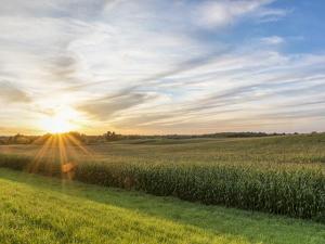 Part 2: Set Your Farm Up for Long-Term Success