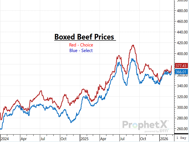 Boxed beef prices rallied sharply on Feb. 24, 2026, as some retailers are stocking up on supply in case a plant strike does occur. (DTN ProphetX chart)