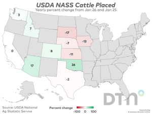 Feb. 1 Cattle on Feed Down 2% From Year Ago