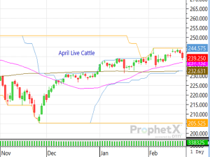 External Pressure Drove Cattle Complex Lower on Monday, Despite Strong Trade in Cash Market Last Week