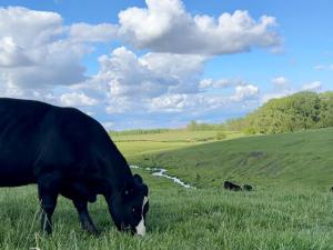 Factors Slow Rotational Grazing Adoption by Producers: Simple Ways to Make It Work