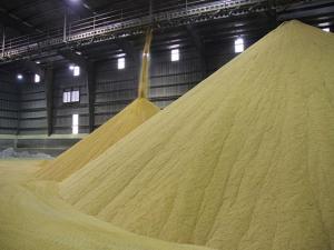 US-India Deal Suggests Greater Ag Exports, But Indian Farmers Are Already Pushing Back