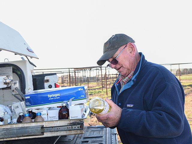 Veterinarian Perry Mobley said abortions are one of the first signs he sees when anaplasmosis is present in a herd. (DTN/Progressive Farmer photo by Becky Mills)