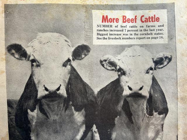 A recent online sale purchase provided a look back at agriculture and the beef cattle inventory in 1959, as shown in this clipping from Wallaces Farmer. (DTN/Progressive Farmer photo by Jennifer Carrico)