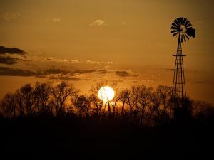 Farmers Face Harsh Truths While Refusing to Abandon Their Way of Life