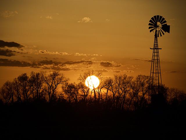 American farming is a way of life for many who will continue to fight for it. (DTN/Progressive Farmer photo by Jennifer Carrico)