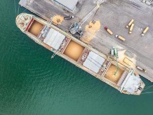 A Bright Spot for the Wheat Market