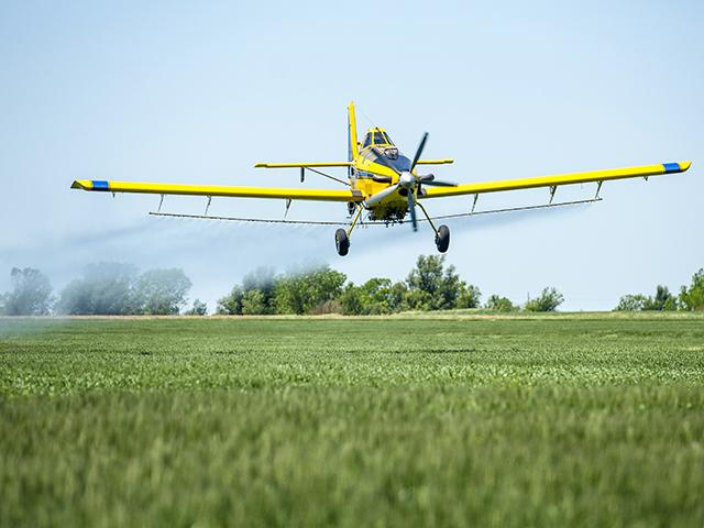 Will applying fungicides deliver a return on their investment in 2026? This is just one question wheat growers are asking as crop input prices remain high and commodity prices remain low. (DTN/Progressive Farmer photo by Joel Reichenberger)