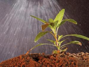 An Urban’s Rural View Blog: Glyphosate Is on Government’s Radar, All Three Branches of It