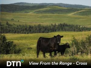 Alberta Ranch Builds Herd to Thrive in Rugged Terrain