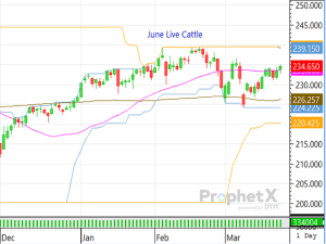 Cattle Complex Hit the Ground Running on Monday
