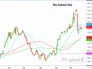 Is That a Bear Flag Pattern on May Soybeans?