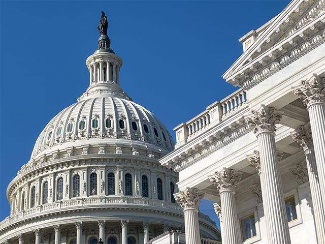 A letter from farm groups seeks more aid for agriculture in any supplemental appropriations bill before Congress. (DTN file photo)