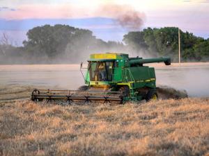 Family Encourages Wheat Farming Legacy to Continue With Next Generation