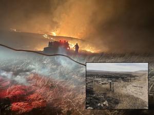 Nebraska Ranchers Face Uncertain Summer as Wildfires Burn 820,000 Acres