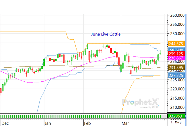 Between a steady cash cattle market and increased support from traders, the cattle complex is again trading higher. (DTN ProphetX chart)