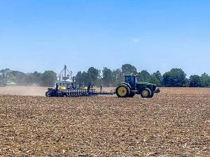 The Planter That Built Me