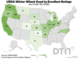 Winter Wheat Condition Rated 35% Good to Excellent in First National USDA Crop Progress Report of 2026