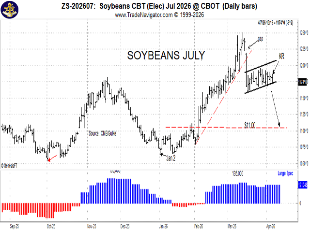 Soybeans paused after a 50% retracement in mid-March and have been forming what serious technical analysts would call a "bear flag." (Chart by Gulke Group)